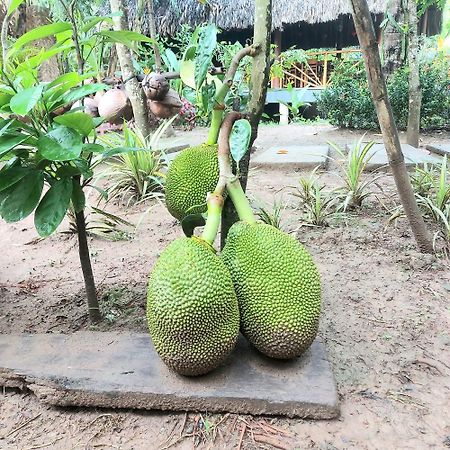 Homestay Nam Ham Luong Ben Tre المظهر الخارجي الصورة