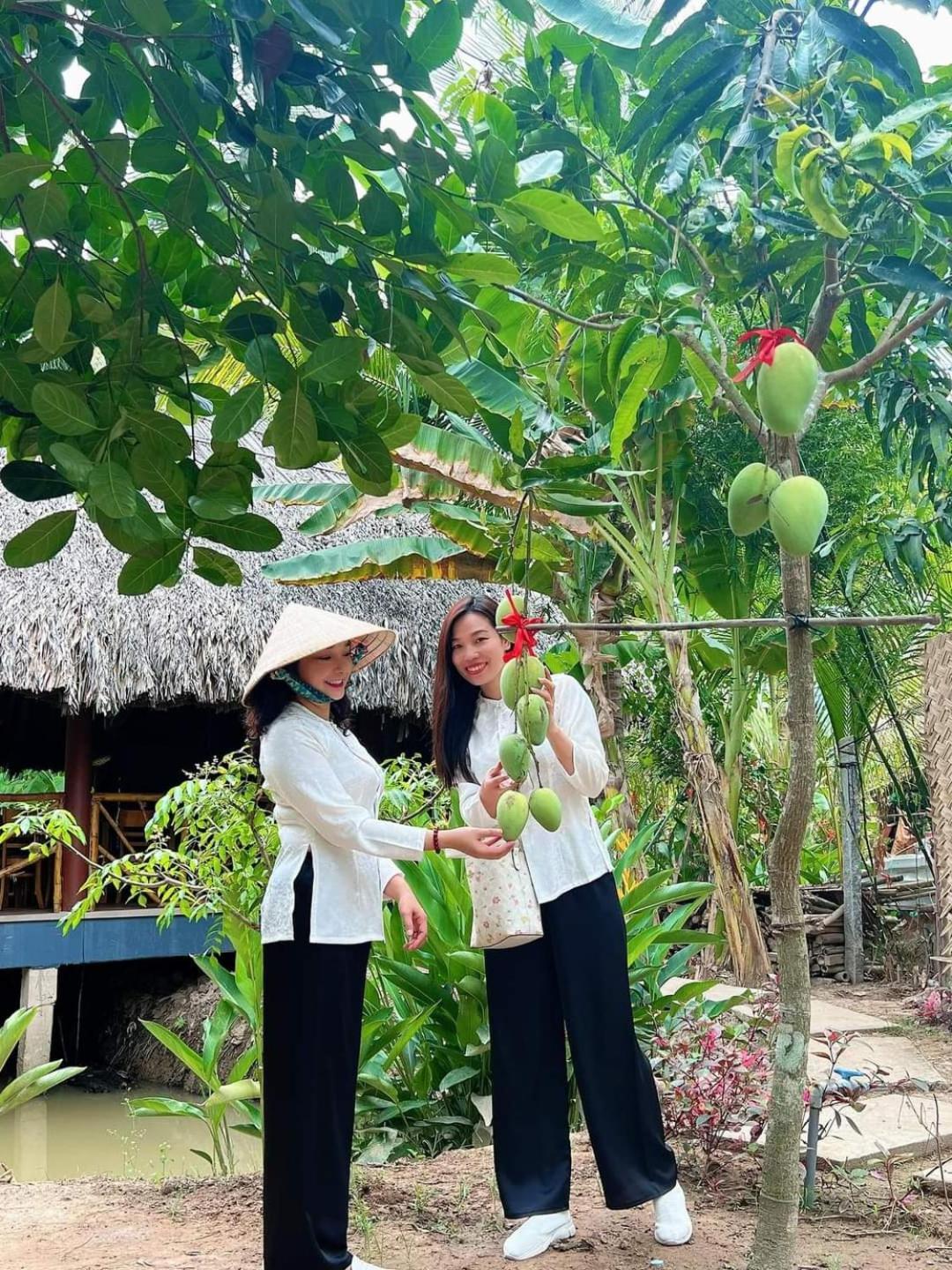 Homestay Nam Ham Luong Ben Tre المظهر الخارجي الصورة